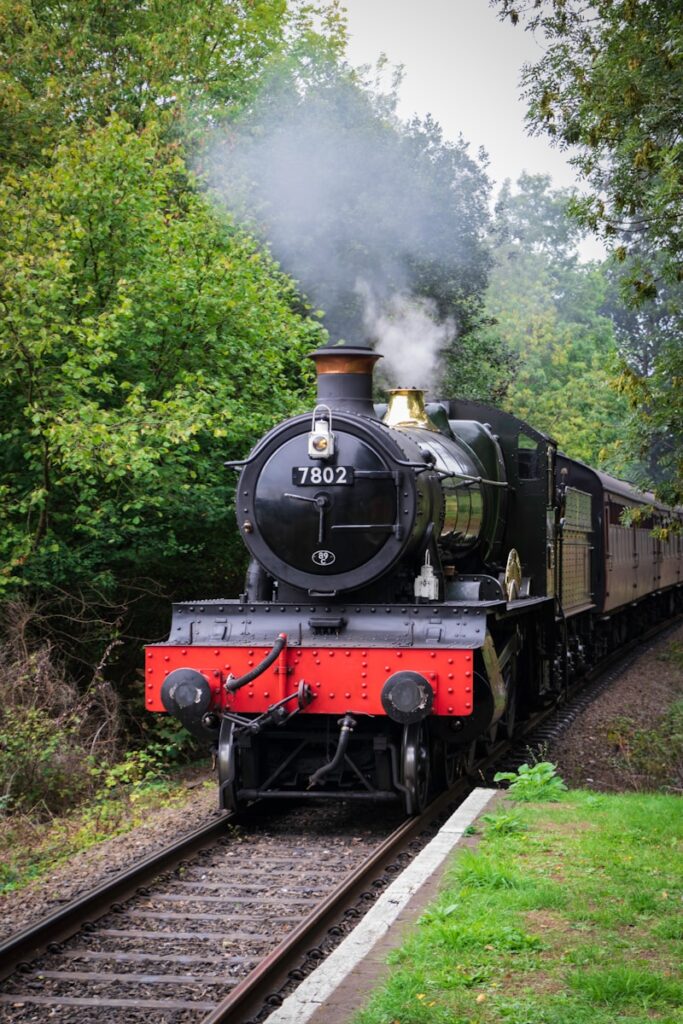 black and red train near trees